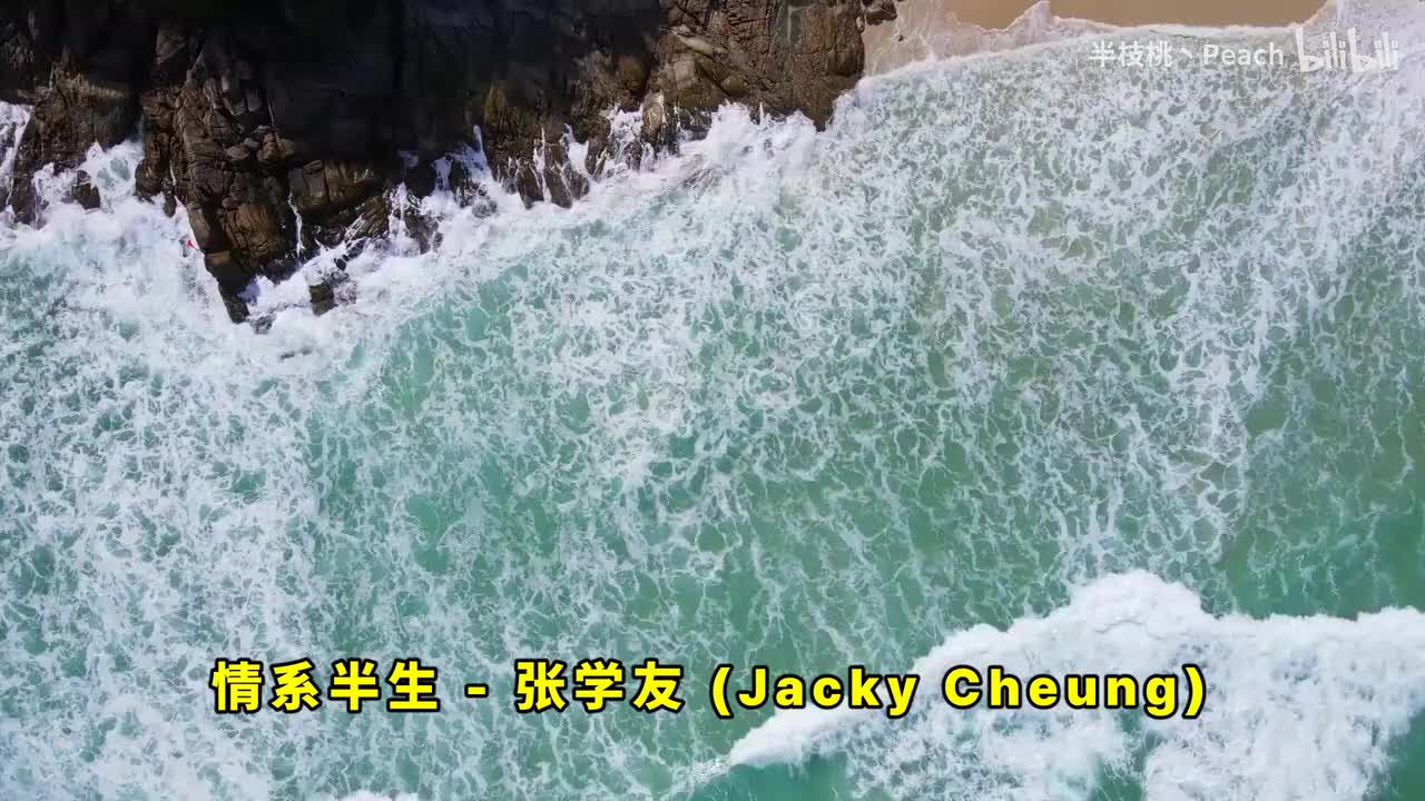 情系半生 - 张学友 情意结 - 陈慧娴 傻女 - 陈慧娴 水中花 - 谭咏麟 下一站天后 - Twins