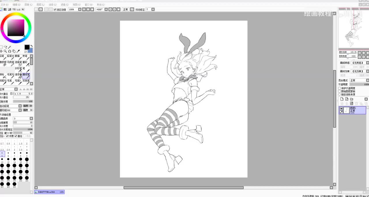 17人体肩膀和背部透视7