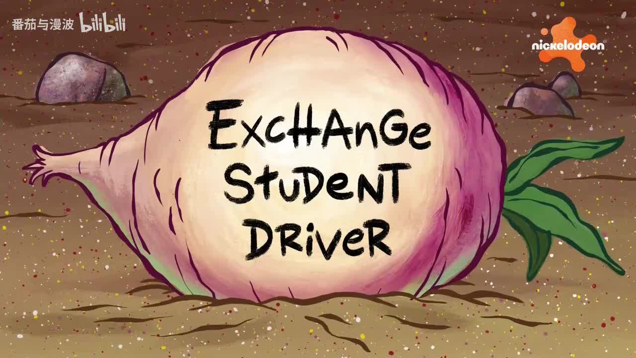 家驾训班交换生