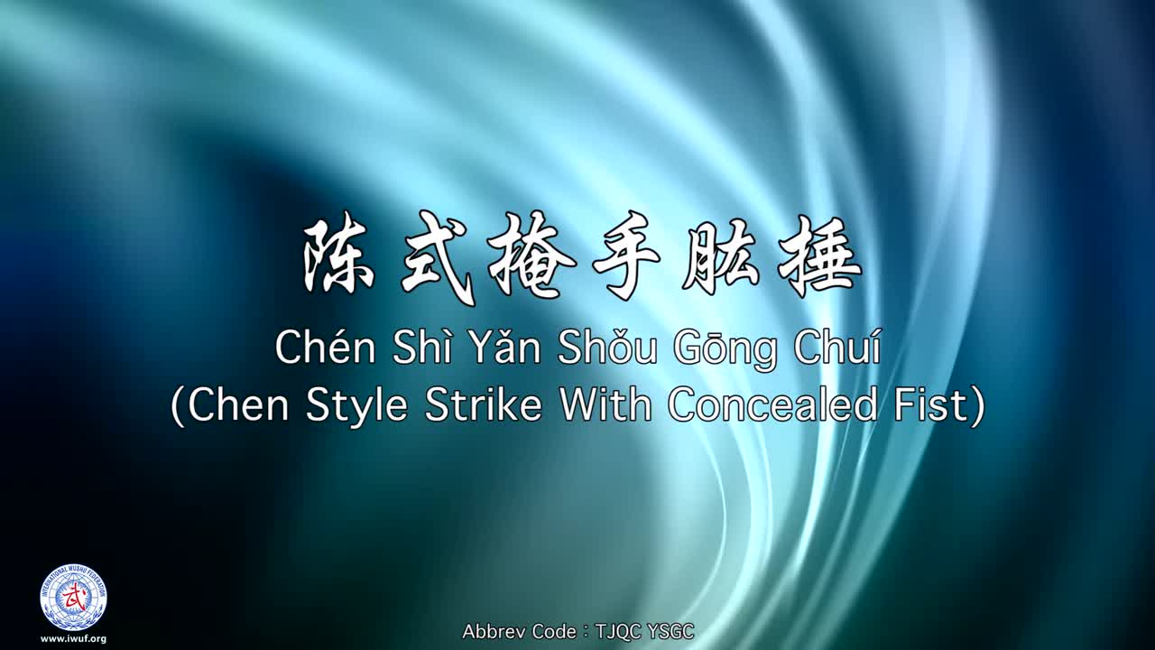 9.陈式掩手肱捶