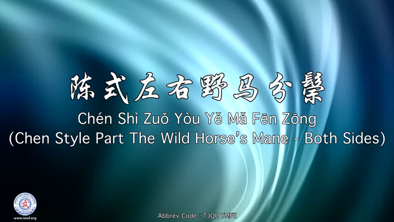 4.陈式左右野马分鬃