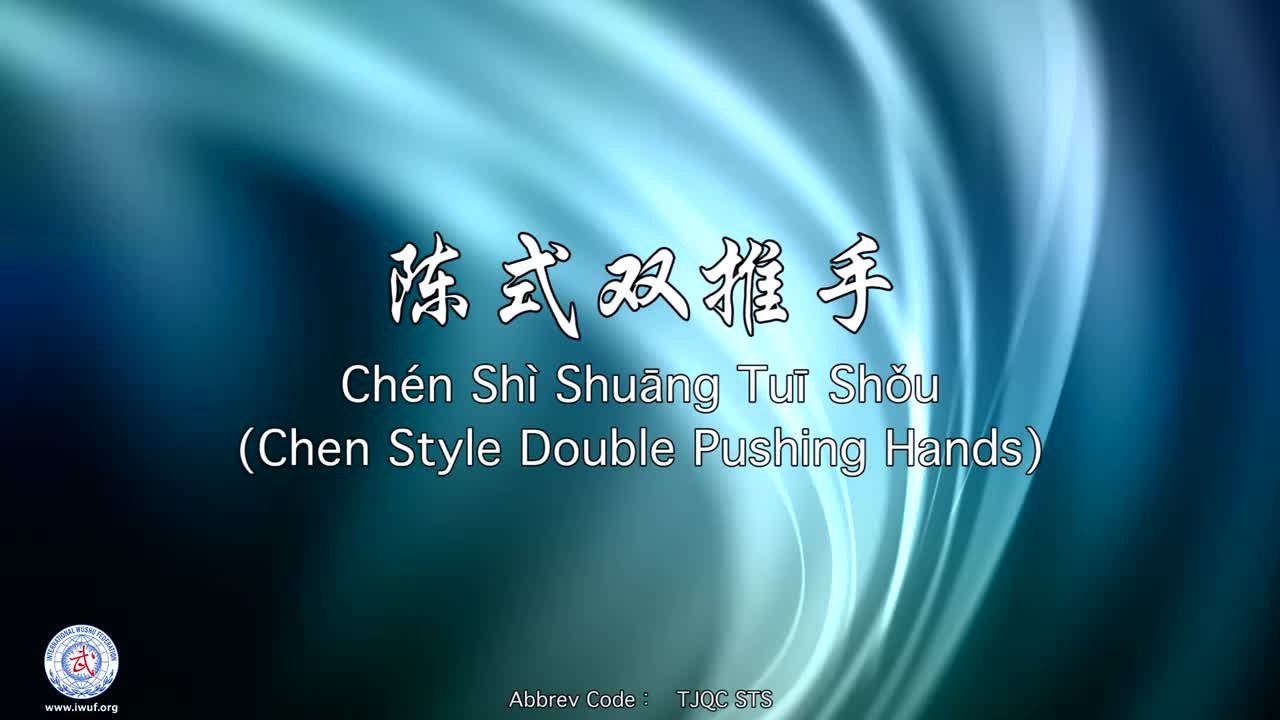 40.陈式双推手