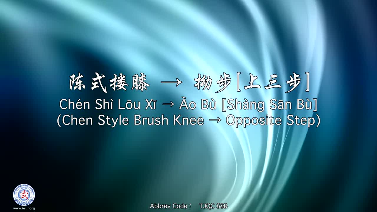 39.陈式搂膝 → 拗步[上三步]