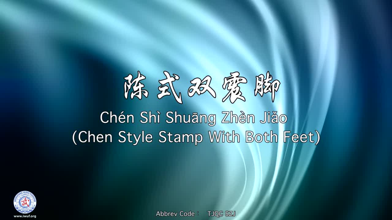 41.陈式双震脚
