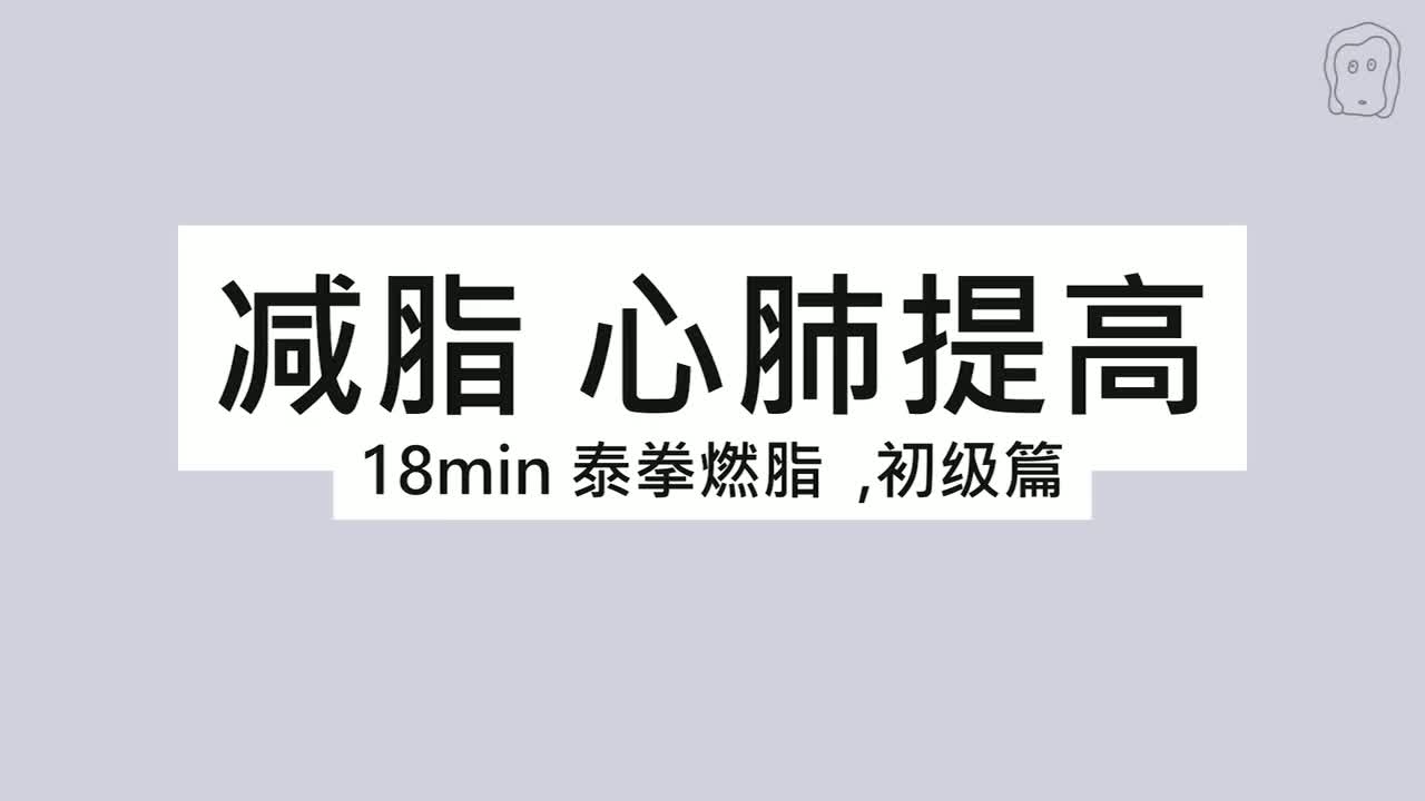 泰拳03 纯净跟练版