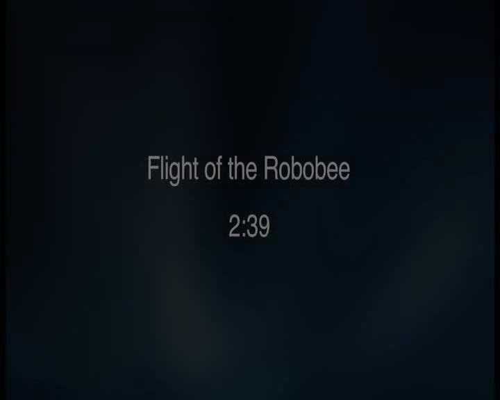 选修1 Unit 2 Flight of the RoboBee