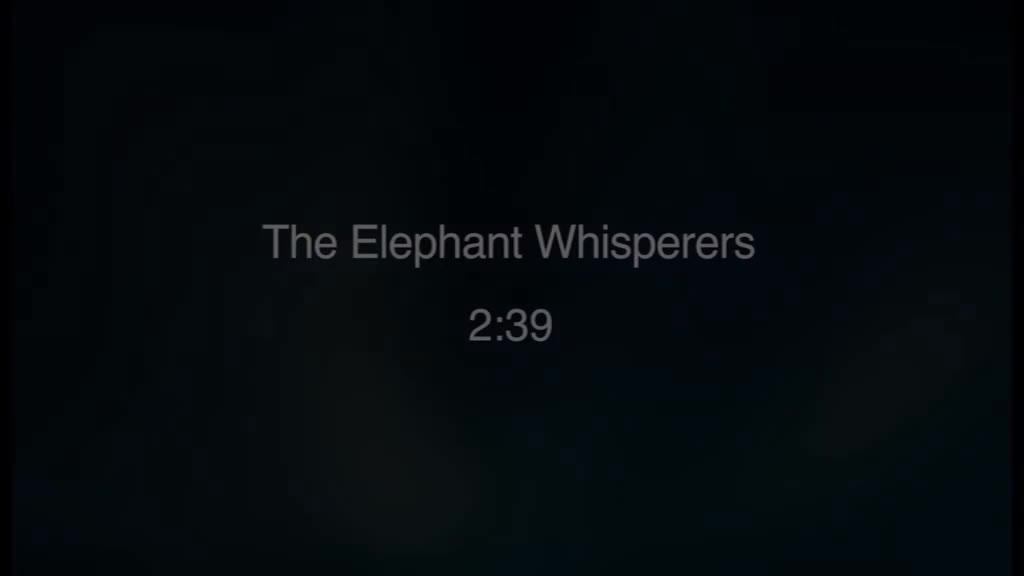 必修2 Unit 2 The Elephant Whisperers