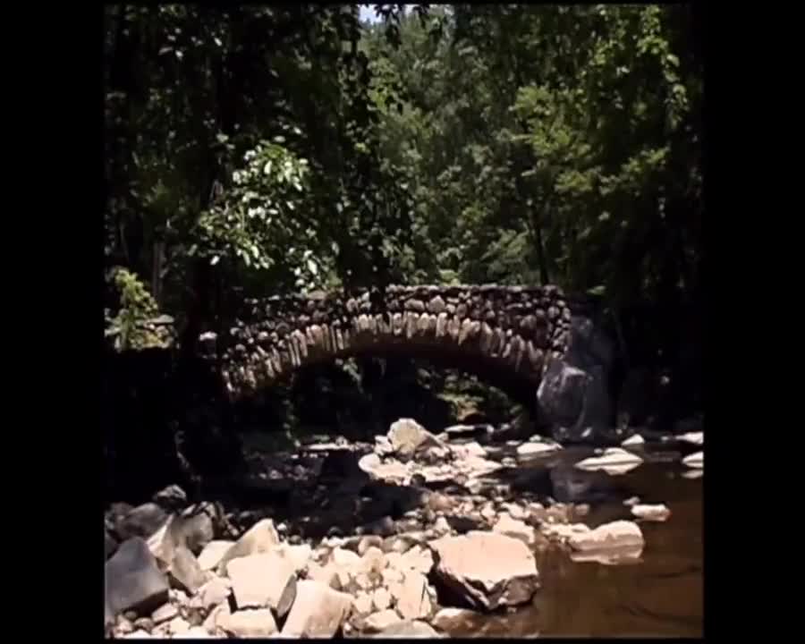 选修1 Unit 3 BioBlitz-Life in 24 Hours