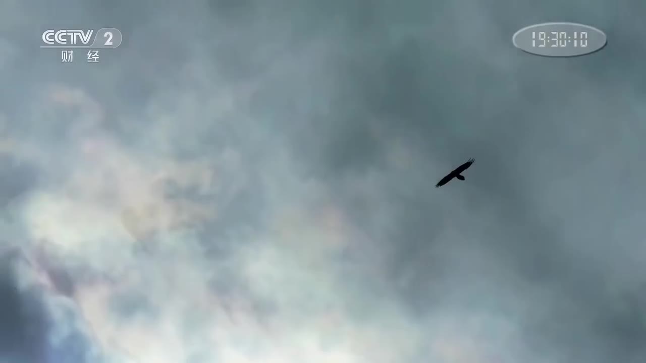 第一集 极限挑战