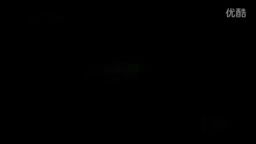 天津滨海爆炸事故七日回顾