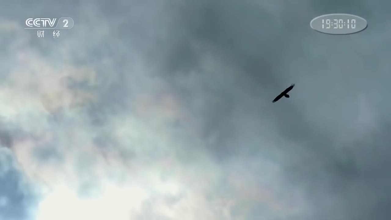 第四集 稳如磐石