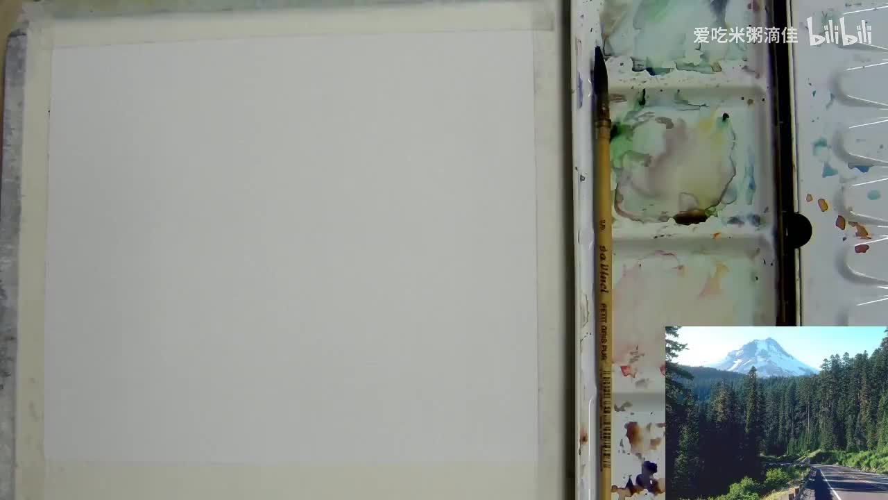 9植物的绘画：针叶林写生技法（冷色调为主）