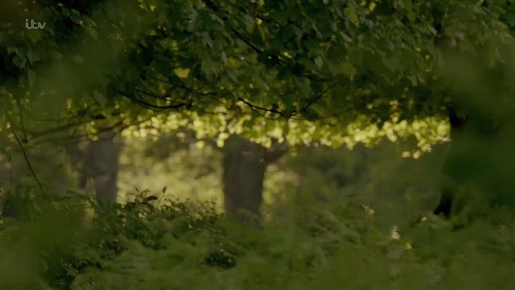 她是你的真命天子