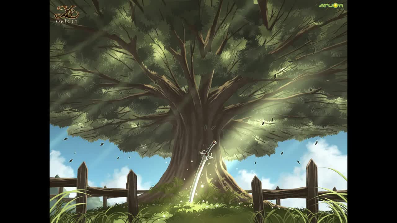 29 DETERMINATION