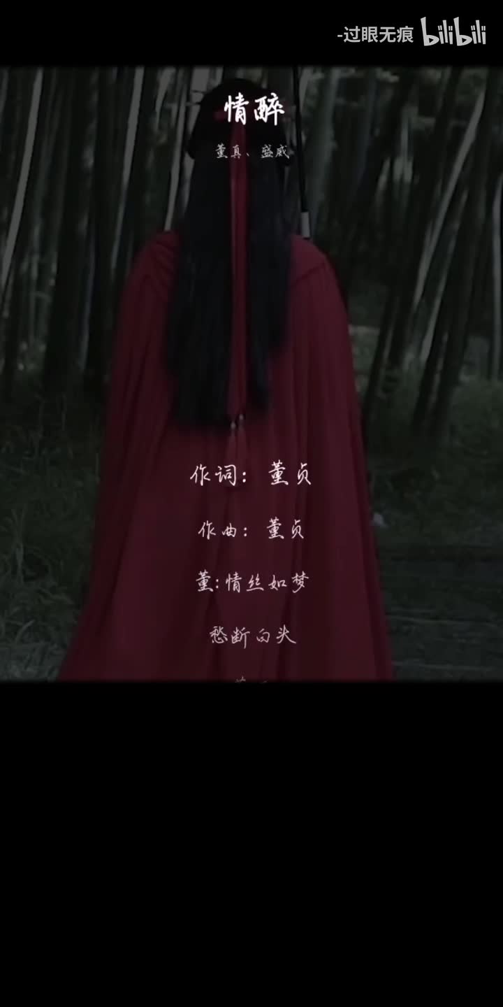 90.情醉-董真、盛威