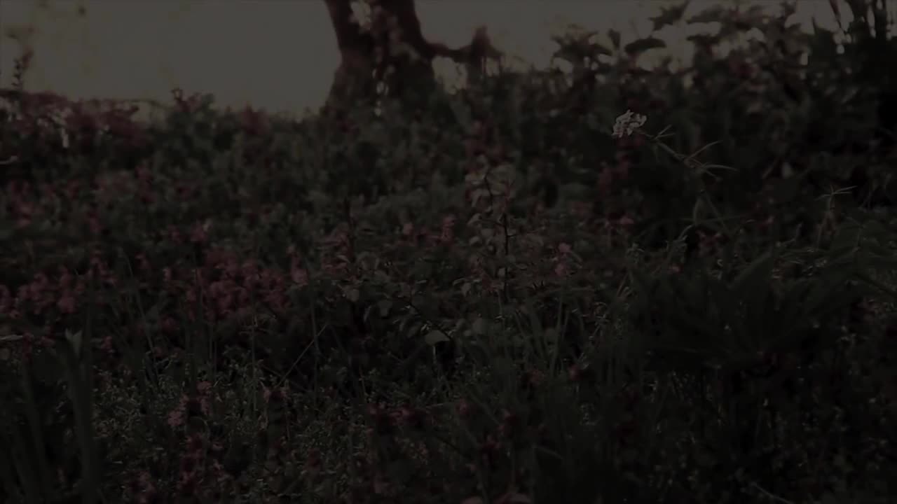 the lakes (bonus track) (Instrumental)