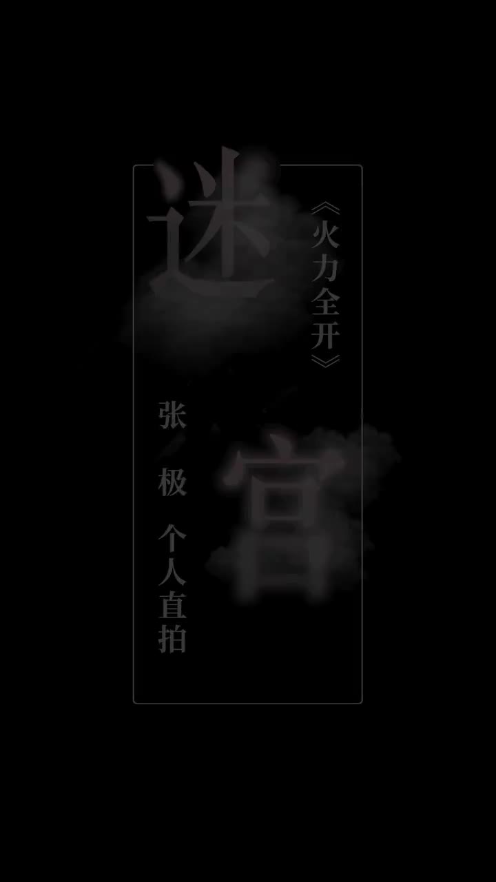 《火力全开》张极 个人直拍