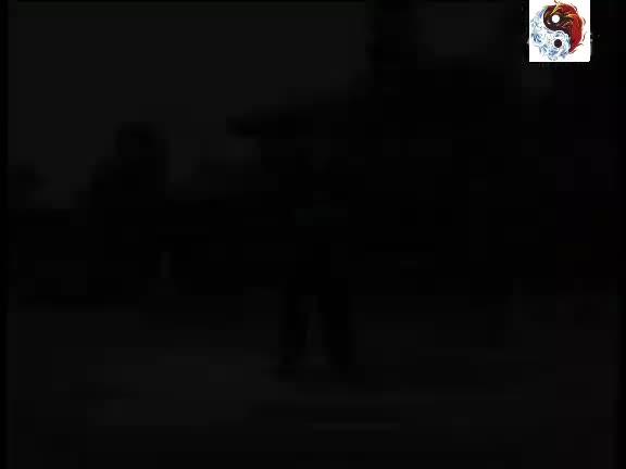 金刚功_7_凤凰展翅周身力