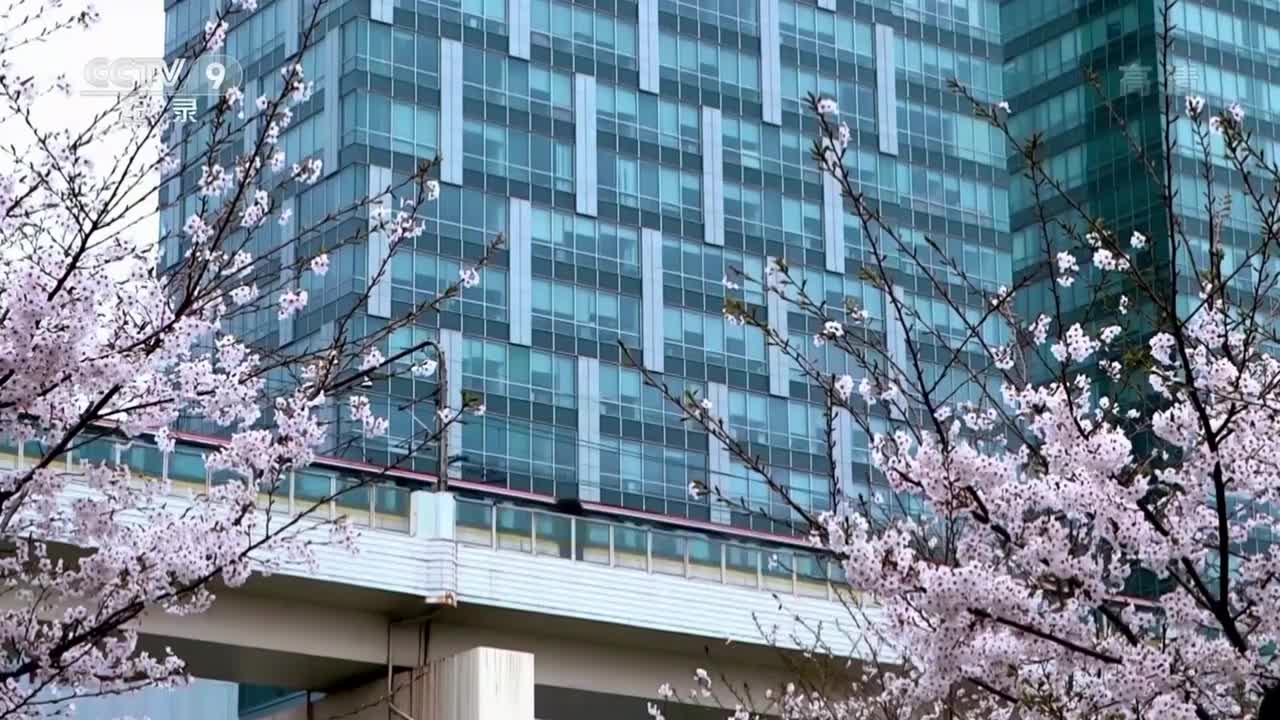 生命里【第3集】心愿