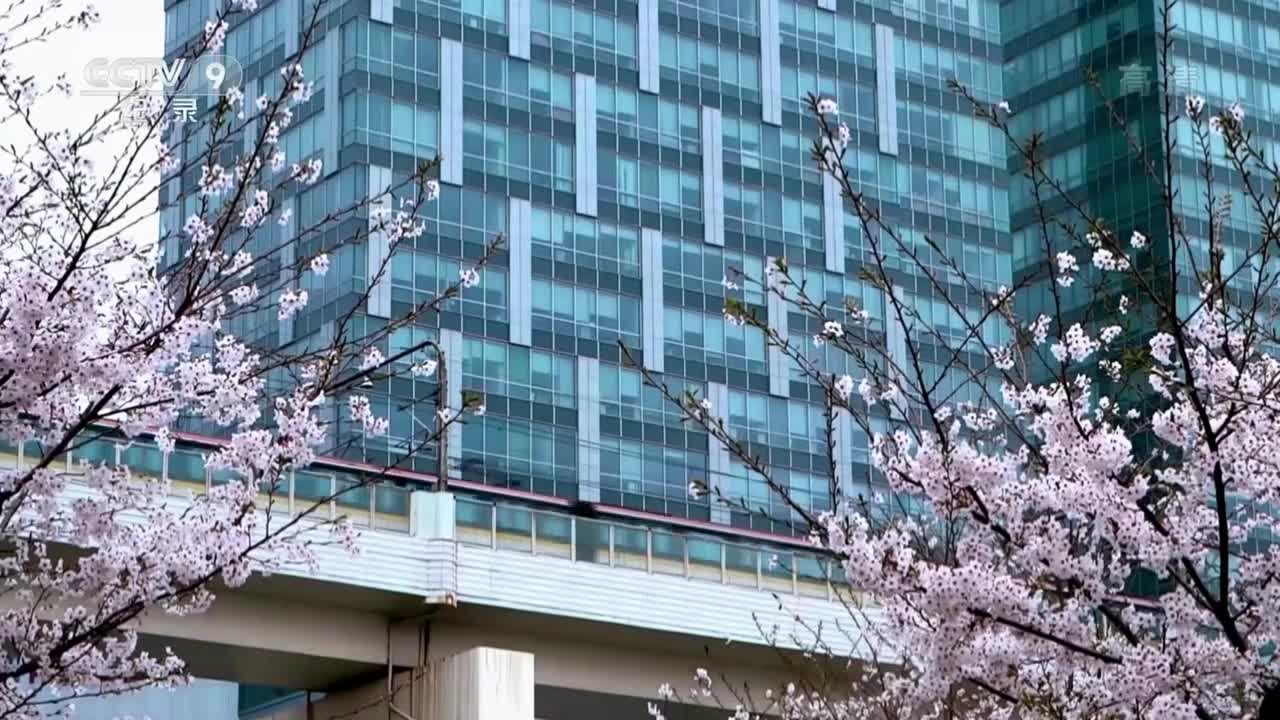 生命里【第2集】陪伴