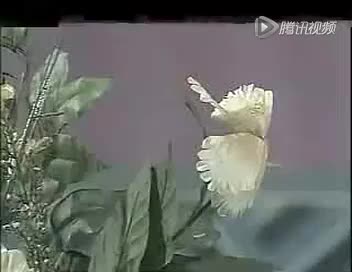 二人台 王占昕《光棍哭妻》