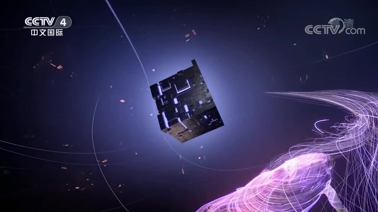 陈再鸣·种蘑菇的人