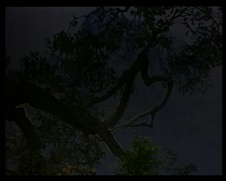 丁凡+蒋文端-抢伞