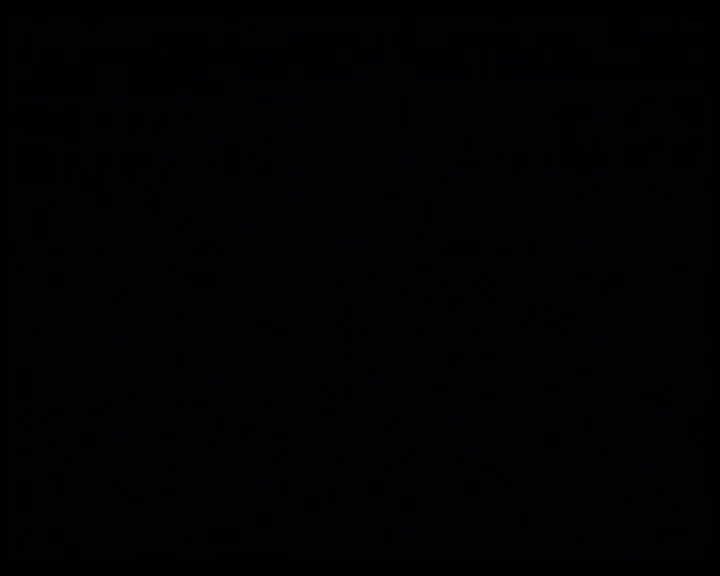 陈小汉-夜撰 红楼梦