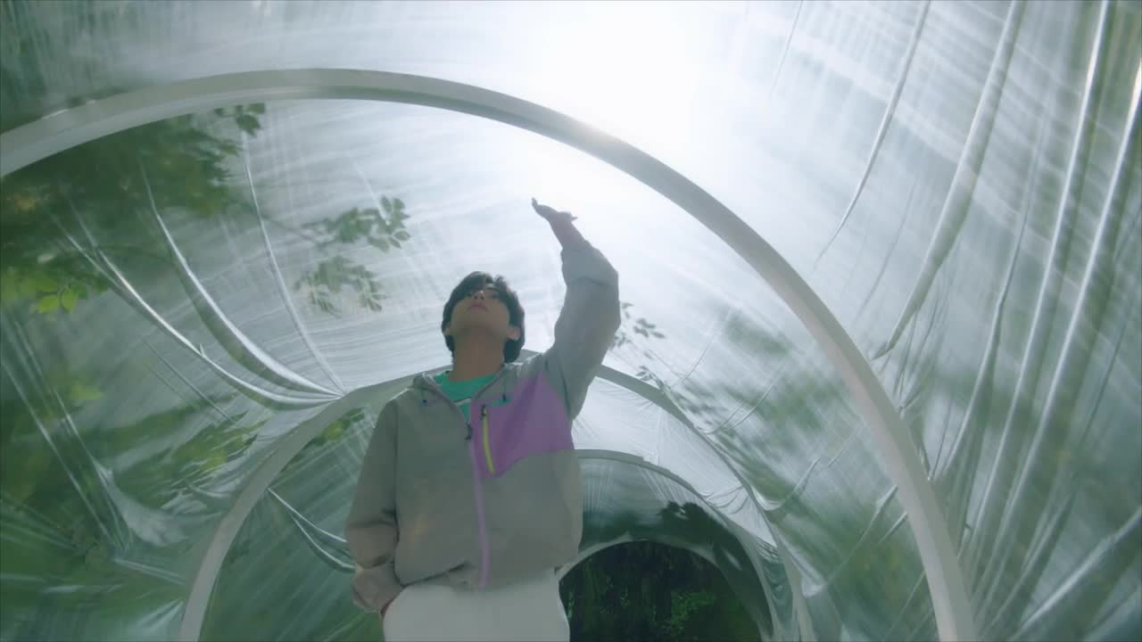 PROJECT 7 Back To Nature V ver