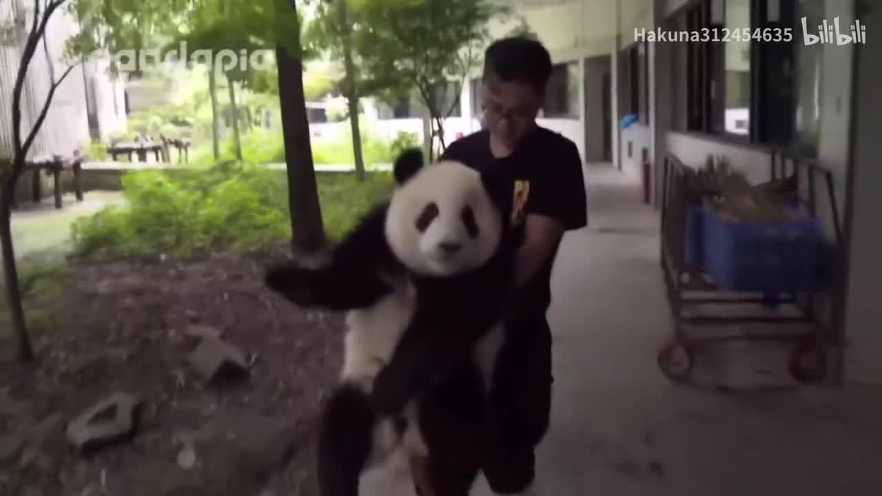 发箍奶爸抱着60斤的么么