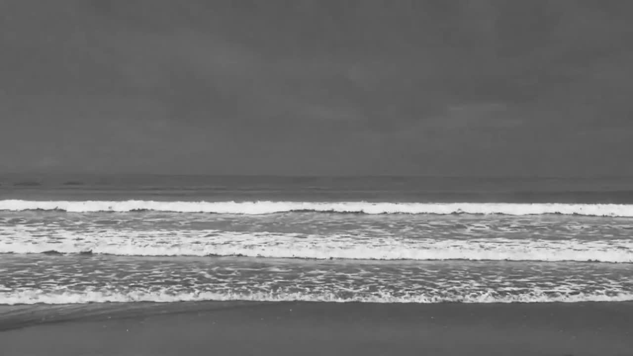 第3集 异乡家园（本集导演/撰稿：张效）