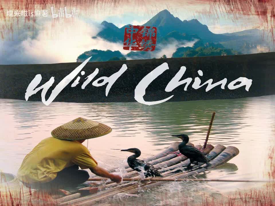 01 Wild China Theme