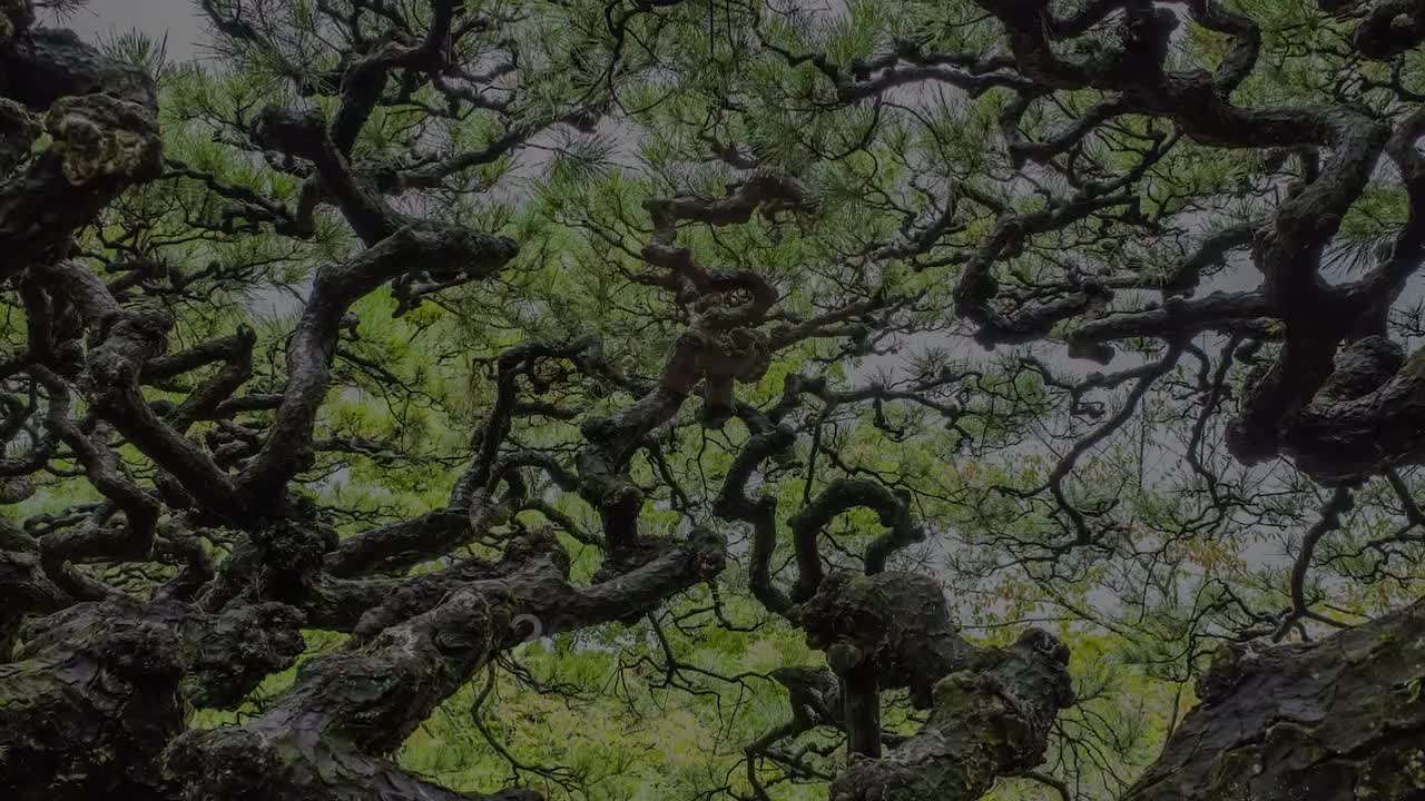 Chanson du berger ruandais