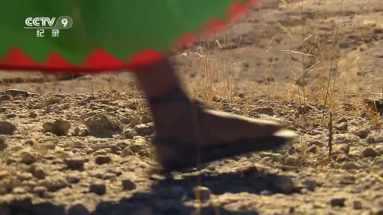 翻山涉水上学路 第二季01集 埃塞俄比亚