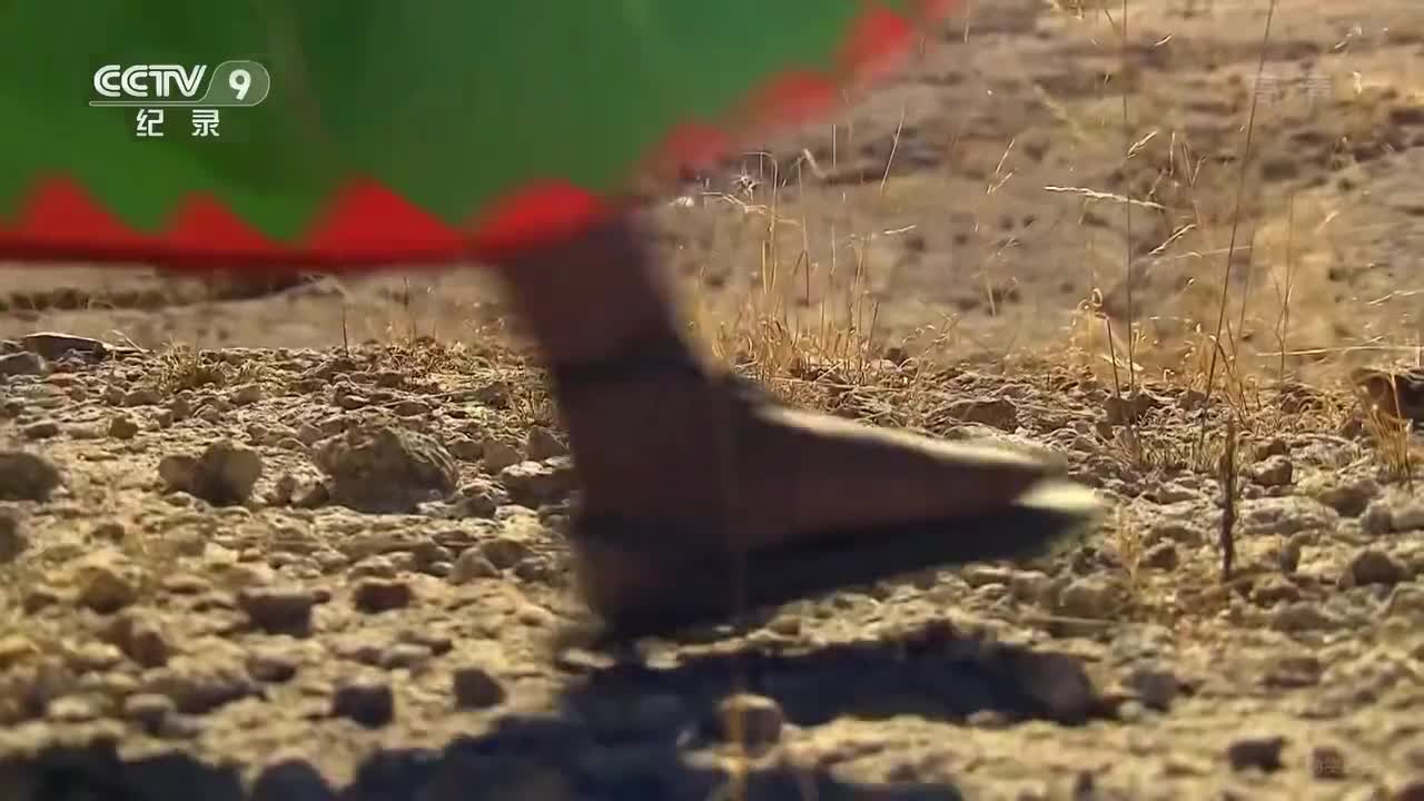 跋山涉水上学路 第二季 04集 巴布亚新几内亚