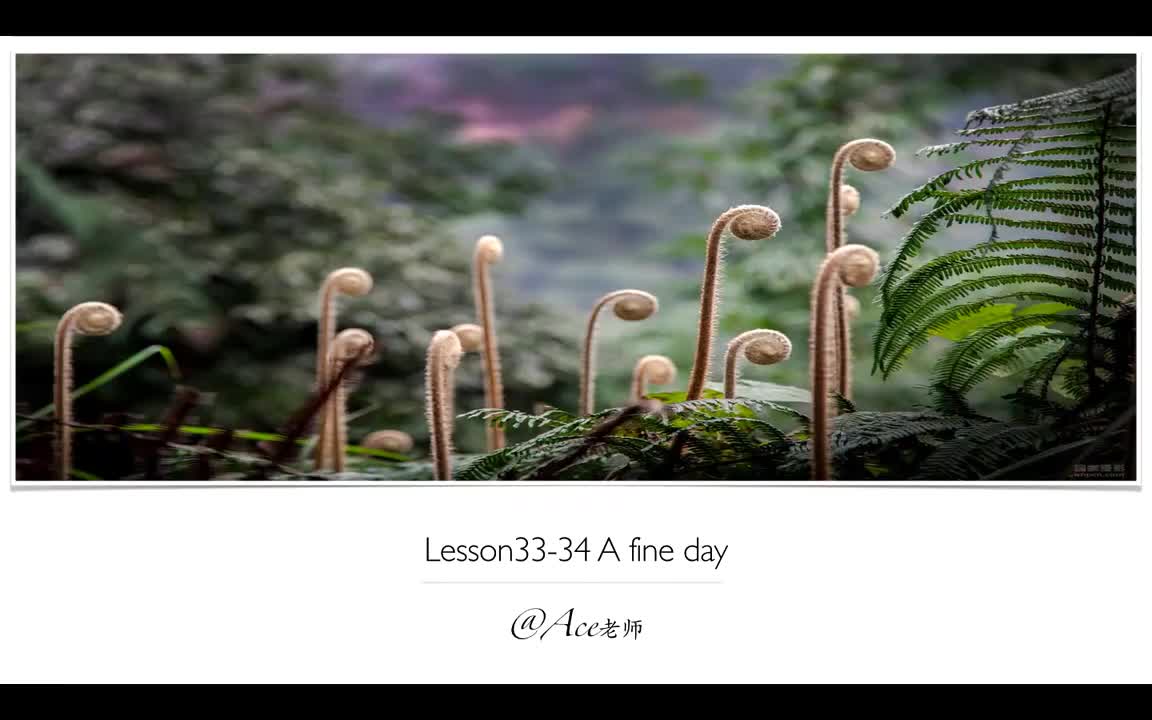 Lesson33-34 A fine day