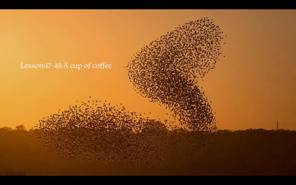 Lesson47-48 A cup of coffee