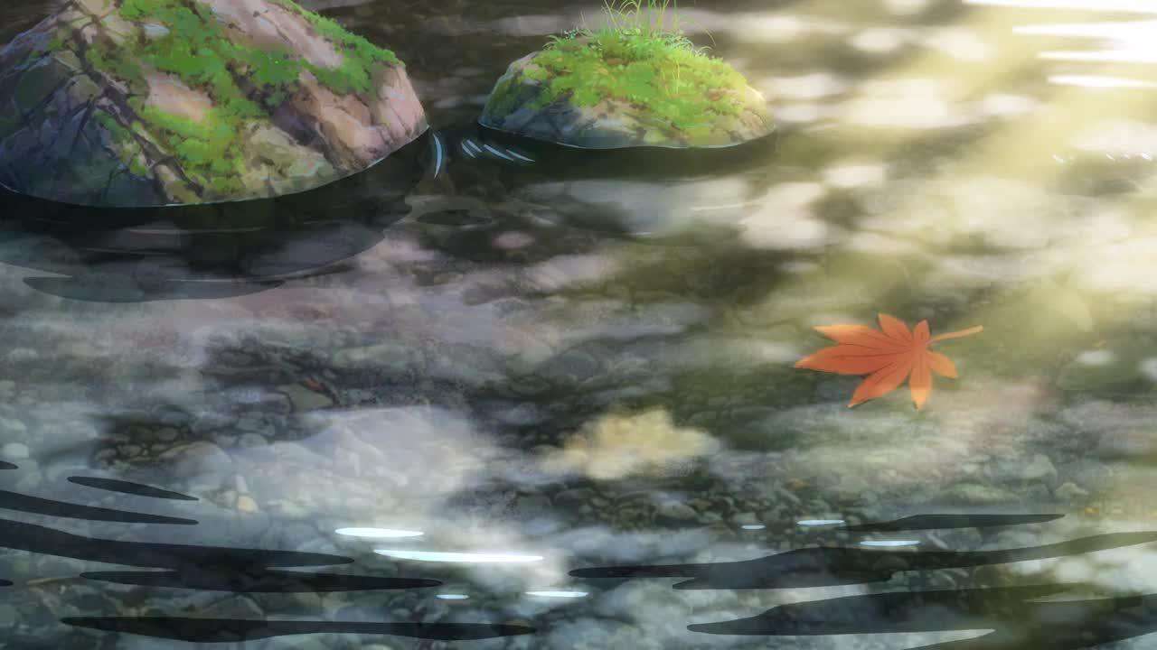 枫叶流动与掉落