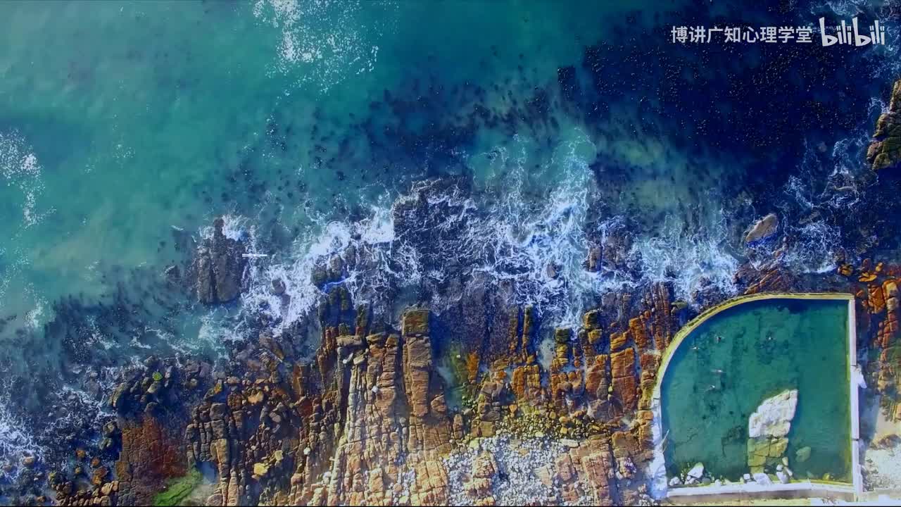 08第八天正念冥想行为练习:保持自己融入当下