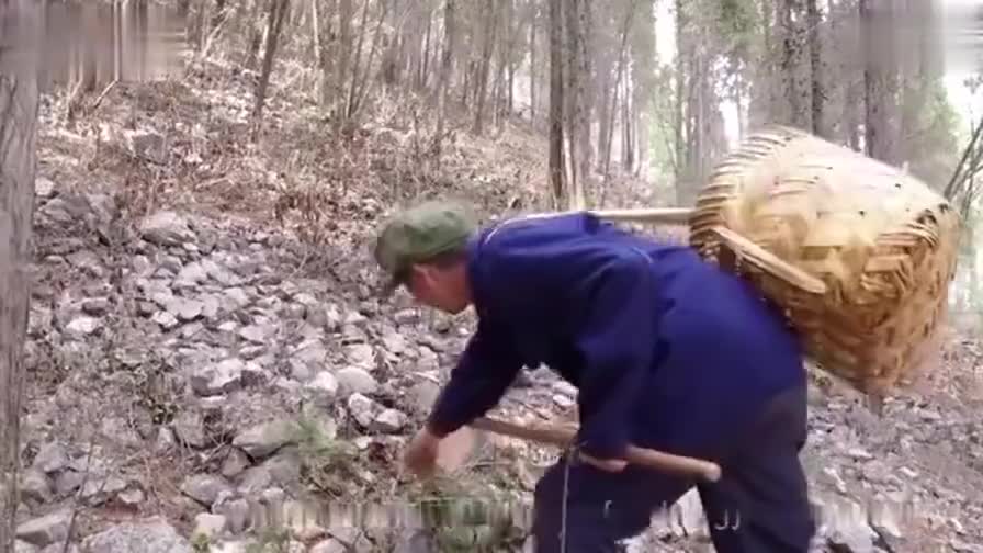 28.《感动人生》第四部