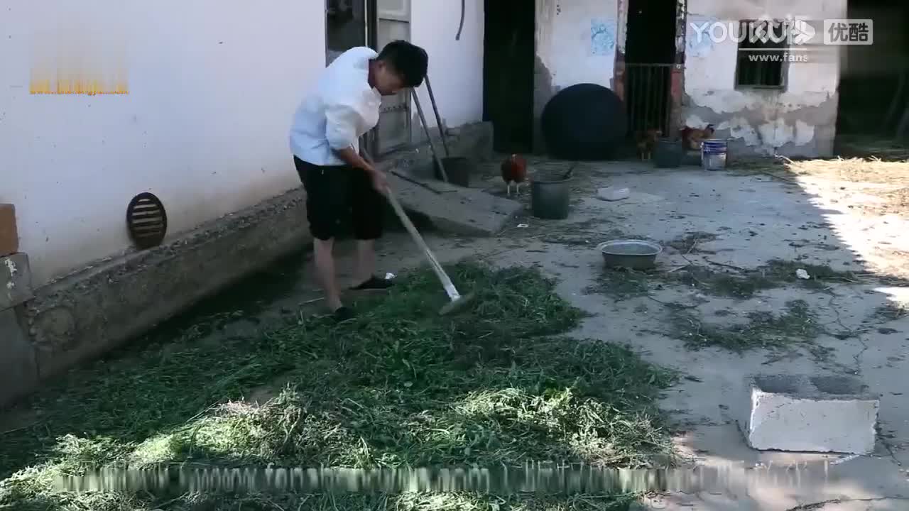 21.《阿姨变成母亲》第二部