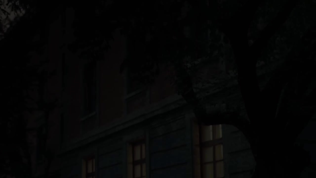 青春有人声无水印