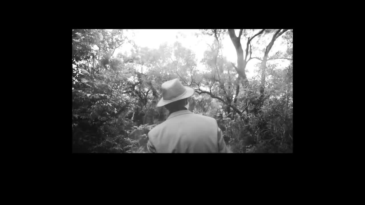 Listen(听) Official Music Video