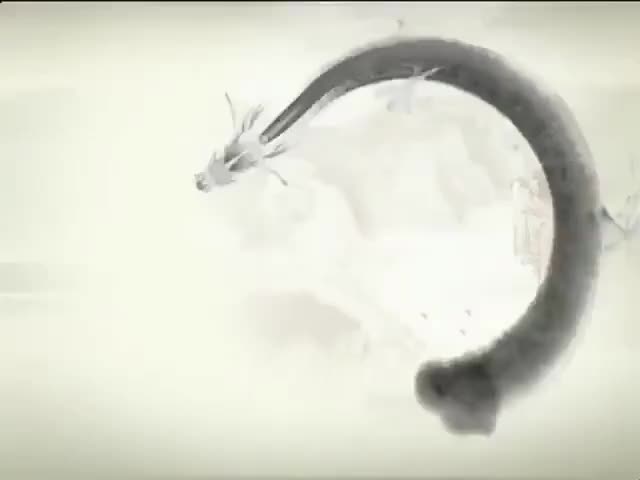 91 Magpie The lucky bird