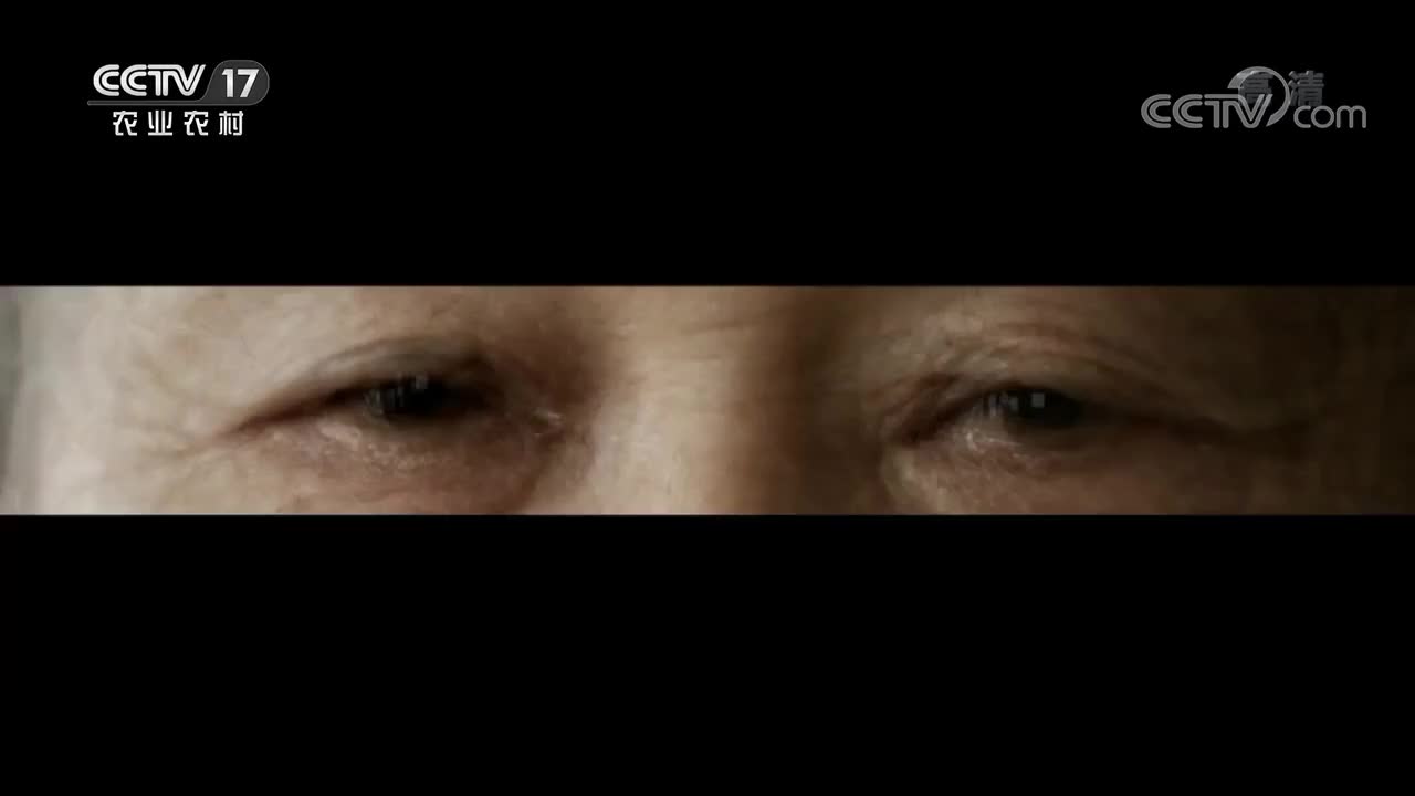 第1集 青山依旧