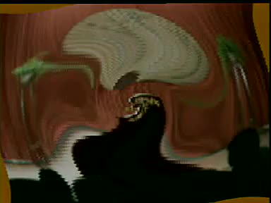 《杂学唱》魏文华、王文玉