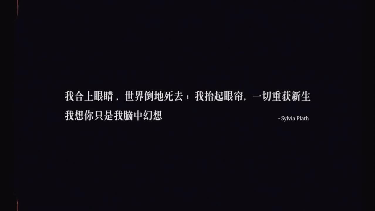 讽刺的情书