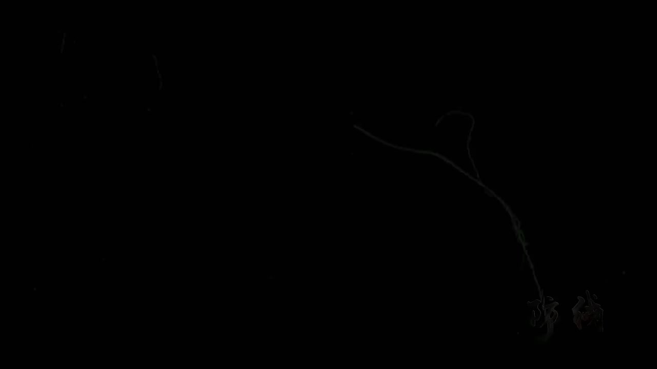 16-安全文化篇-安全回家 让爱团圆