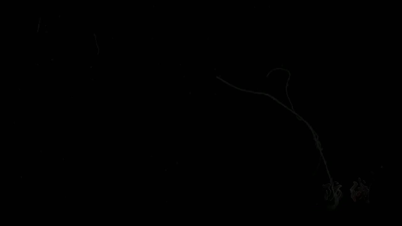 15-安全文化篇-落子无悔