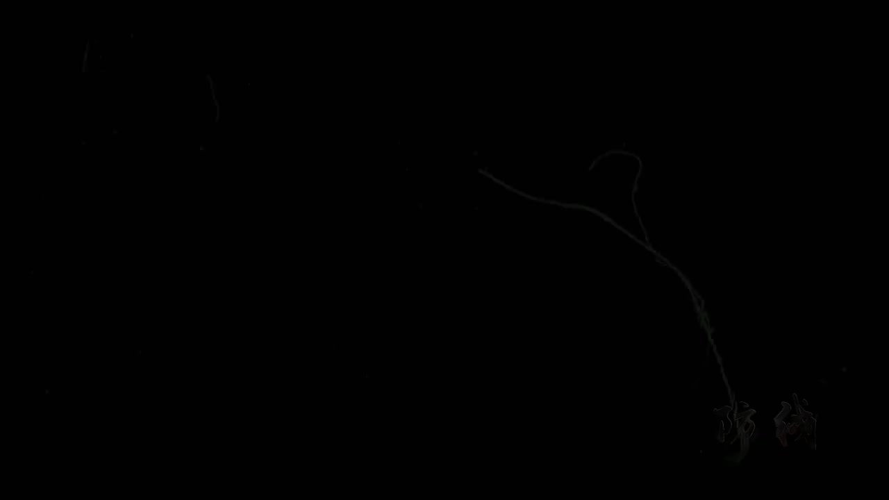 18-安全文化篇-全家福